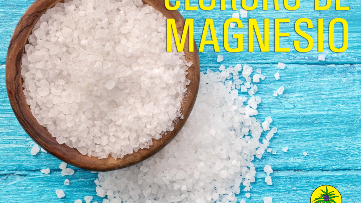 Cloruro de magnesio