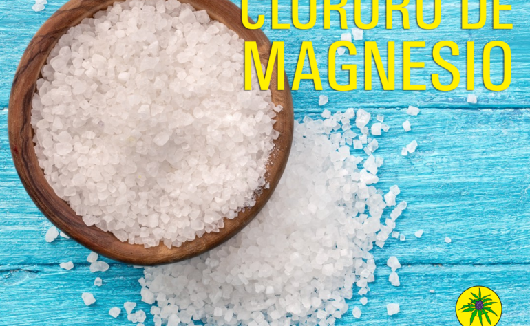 Cloruro de magnesio